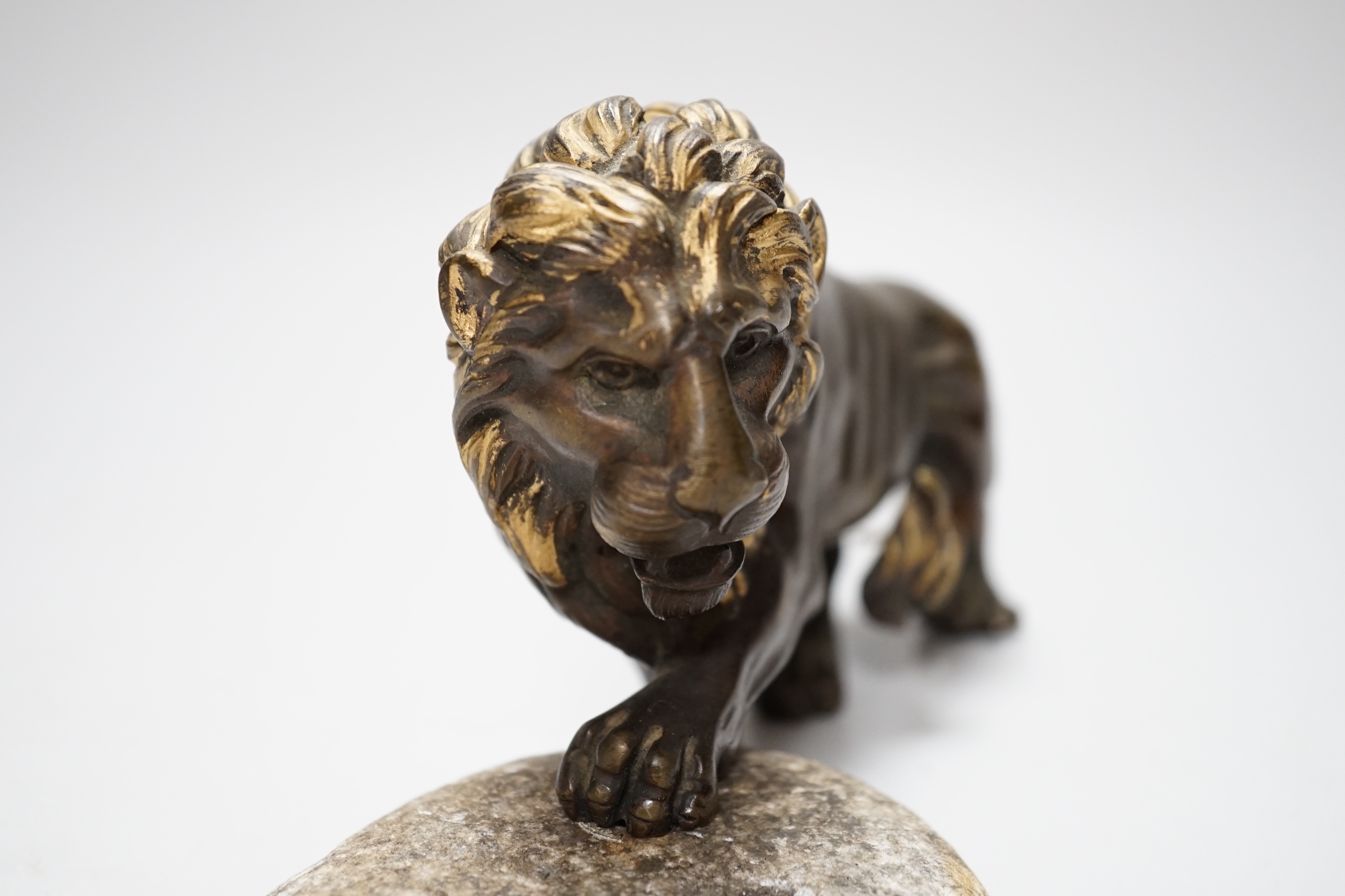 A parcel gilt bronze lion with stone base, 22cm wide